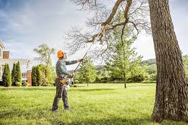 Best Tree Health Inspection  in Boswell, PA