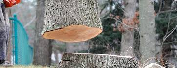 Best Arborist Consultation Services  in Boswell, PA