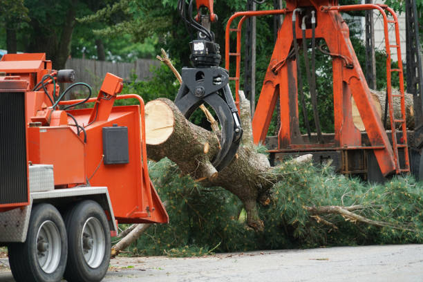 Best Lawn Drainage Solutions  in Boswell, PA